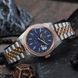 Pagani Design PD-1794M Silver-Rose Gold-Blue 1138-0235 фото 6